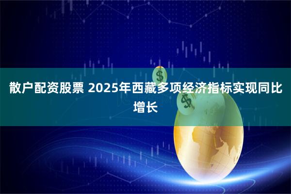 散户配资股票 2025年西藏多项经济指标实现同比增长