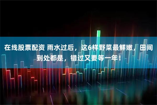 在线股票配资 雨水过后，这6样野菜最鲜嫩，田间到处都是，错过又要等一年！